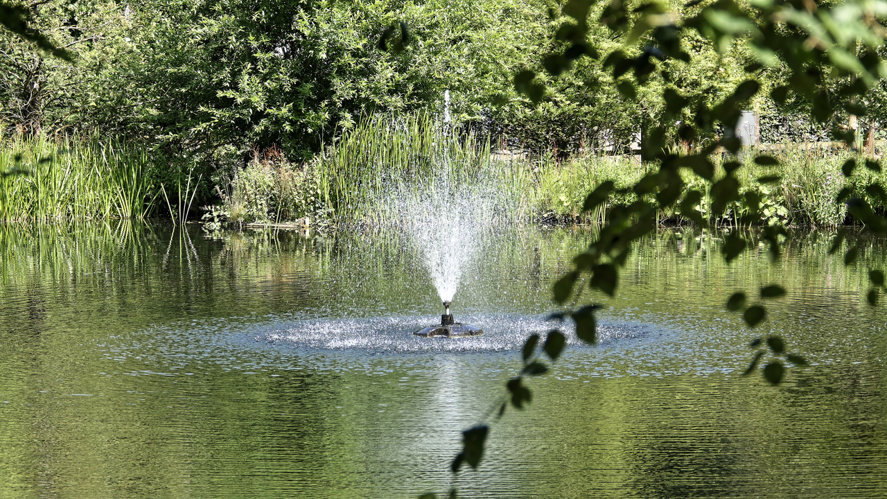 20260720-135123•Castle & Gardens•Alnwick•Northumbria•UK (ENG)